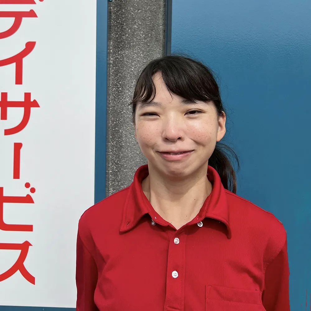 Image hover effect image